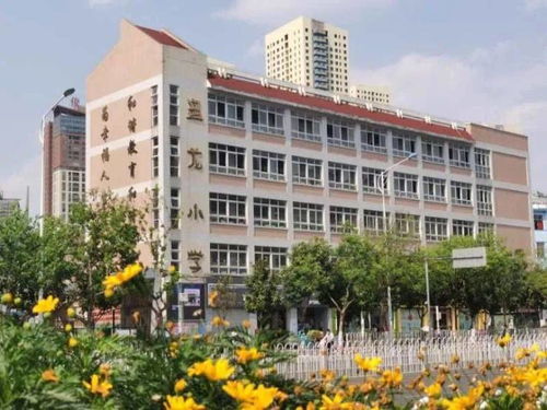 喜讯 盘龙小学正式入驻大华.锦绣麓城a6地块