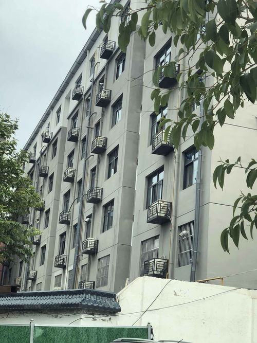 洛阳市老旧小区改造洛阳大华机械厂家属院何时动工