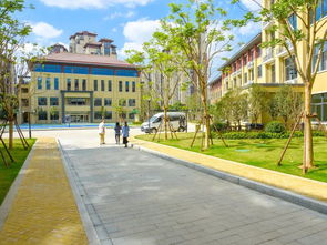 重磅！长三角一体化示范区迎首所新建国际学校 中锐教育集团汾湖华锐海归双语学校与“大华第二小学”正式落地