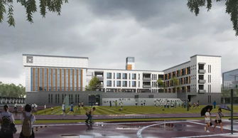 2020年起曲江新区新建学校项目启动，大华第二小学选址确定，附曲江入学要求详解